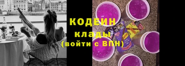 индика Богородицк
