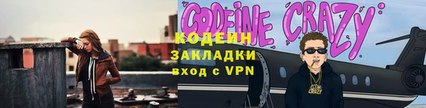 индика Богородицк
