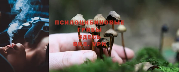 метадон Баксан