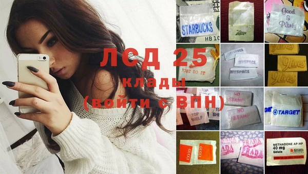 индика Богородицк