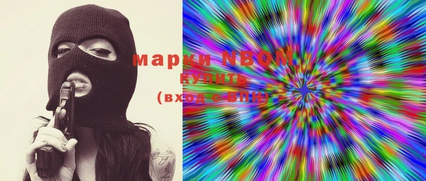 индика Богородицк