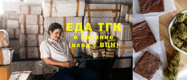 индика Богородицк