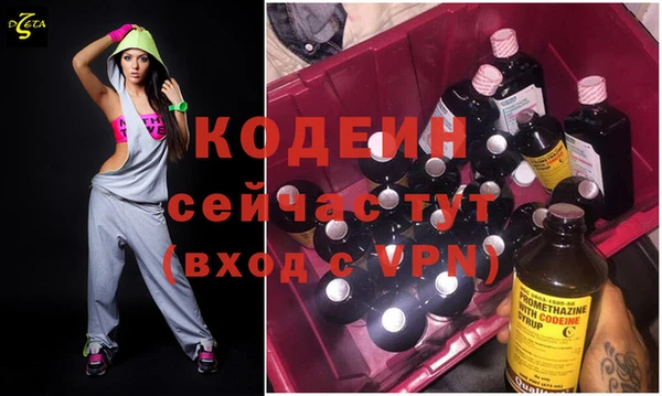 индика Богородицк