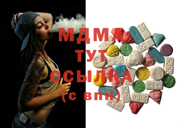 индика Богородицк