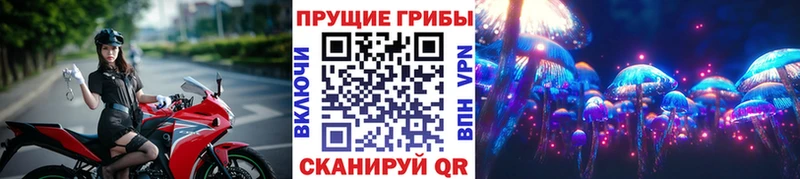 Псилоцибиновые грибы Magic Shrooms  Купить закладки  Киреевск 